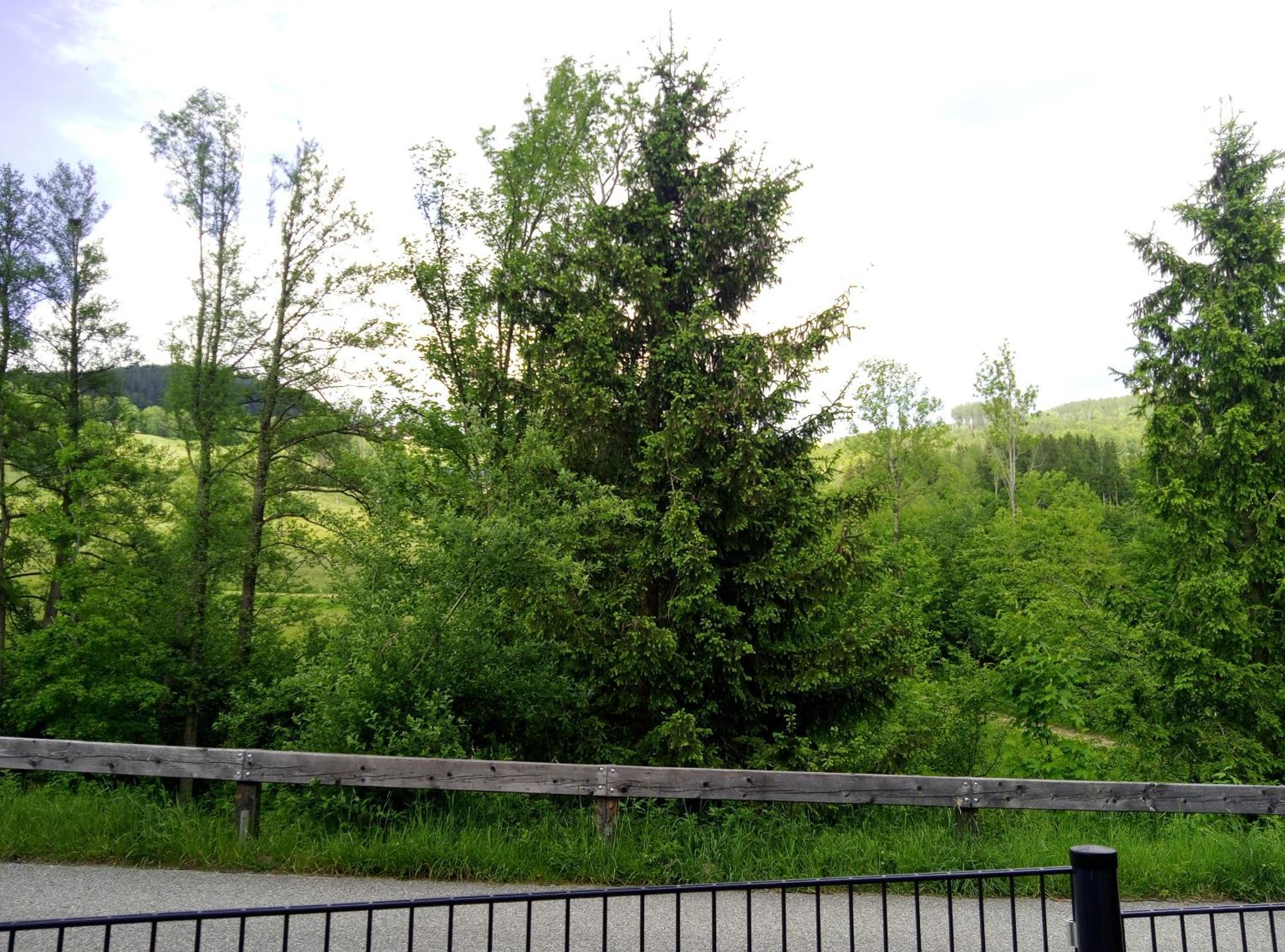 Feapp Parken & Pennen Lejlighed Mondsee Eksteriør billede